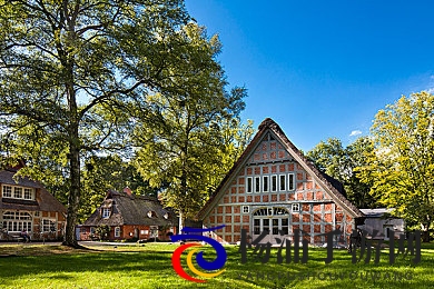 农村大炕真实性经历|虚拟乡土体验引领游戏新潮流-2