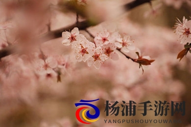 九九热视频这里只有精品|九九站点免费在线看视频资源-2