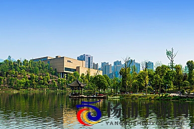 六月婷婷五月丁香|六月花海缤纷色彩闪耀-2