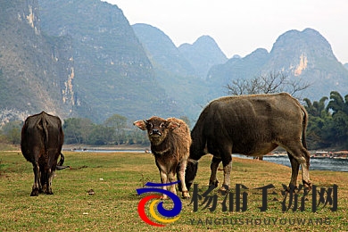 侧妃撅着光屁股让客人玩弄|侧妃裸露身躯任宾客享娱-1