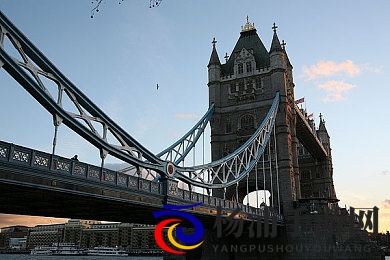 各种触手被强H肉怀孕|多样触手受到激烈冲击孕育新生命-1