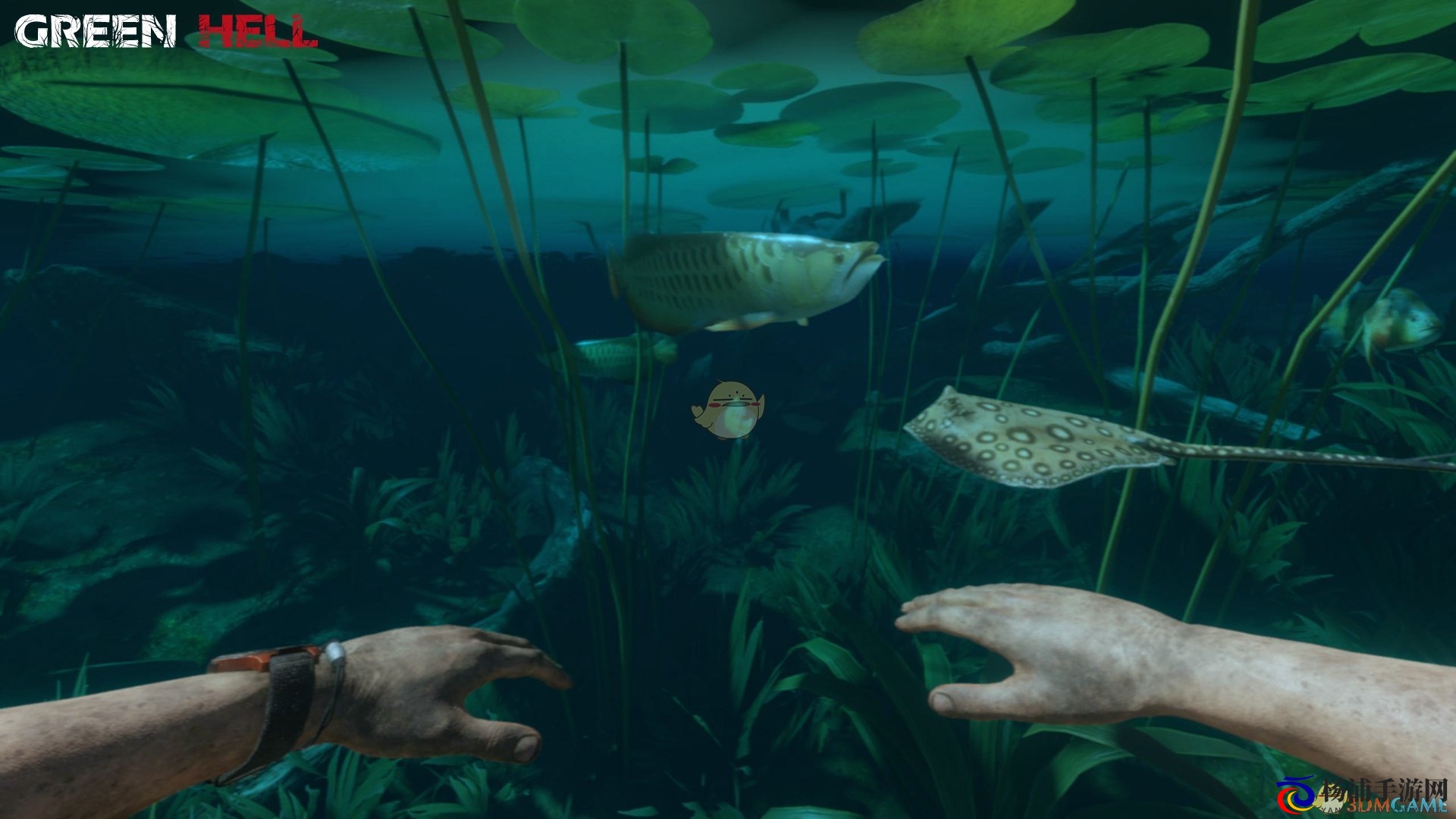 《绿色地狱》有毒伤口危害及解决方法分享