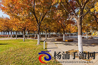 男生和女生一起差差差的软件|未来社交游戏全新玩法揭秘