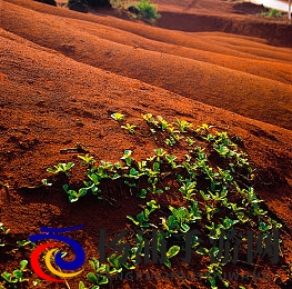 男生的坤坤放进女生的坤坤里|男士的热情融入她的心房-1