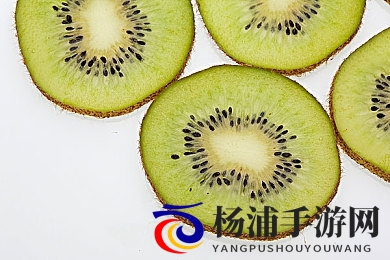 软件下载3.0.3每天无限次破解版|破解游戏工具引发热潮探索极致自由体验-2