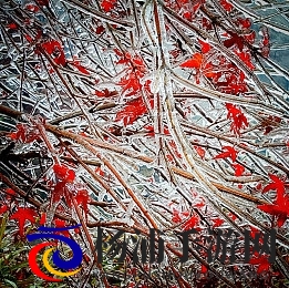 天天干 天天操|每日努力持续奋战恍若不停-3