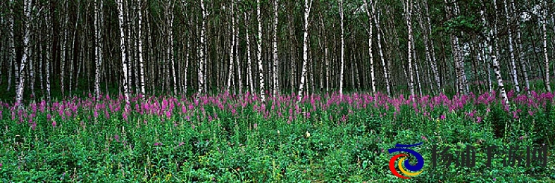 张柏芝的奶被揉到高潮|张柏芝的胸部受到爱抚达极致-2
