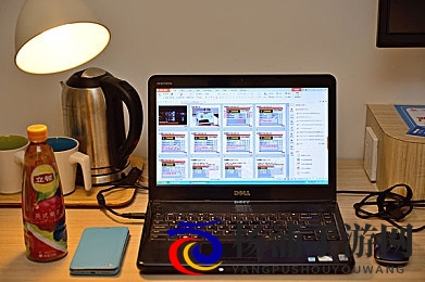 含羞草入口|羞涩植物的品尝方式推荐-2