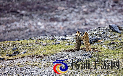 巨大vⅰdous娇小性HD|极致诱惑小巧玲珑高清全揭示-2