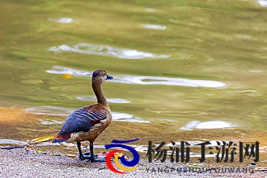 刘玥最好看的十部剧|刘玥精彩作品排行十部不可不看-3