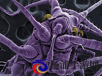 动漫 妓女 得到 巨大 吸|动漫少女获得巨大吸引力-2