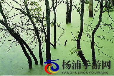 新婚少妇被按摩师进入|虚拟剧情引发伦理思考的热潮-3