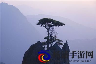 69乐园成功故事|六九乐趣园创造的辉煌经历-1