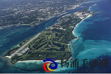 老婆被多人干的很舒服|伴侣体验极致愉悦的多人互动-1