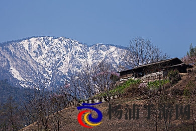 老公在旁边隔着窗帘|家庭隐私守护的温馨细节揭秘