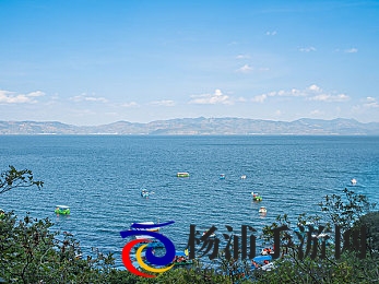 婷婷五月天丁香花|少女春光绽放繁花似锦-2