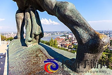 含羞草入口|羞涩植物的品尝方式推荐-3