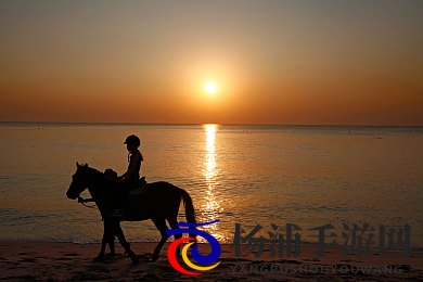 男同露大jiji 秘 黄网|男同性恋公开展示隐私网站汇总-1