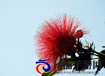 成人羞羞 国产免费游戏|成年人禁片免费娱乐游戏-2