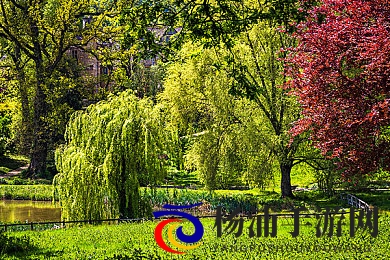 大炕上和亲亲公的性事|榻上情缘与皇帝的温存时光-1