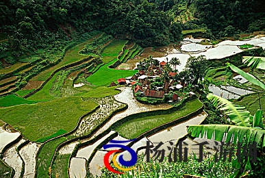 腹肌男自慰|健身圈秘密逐渐揭露引发公众思考-2