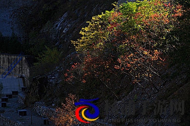 未满十八 色情APP网站软件|青少年网络安全新时代的多方防控之路-1