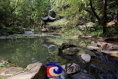 日本不卡免费|探索高清流畅的免费看影视新时代-1