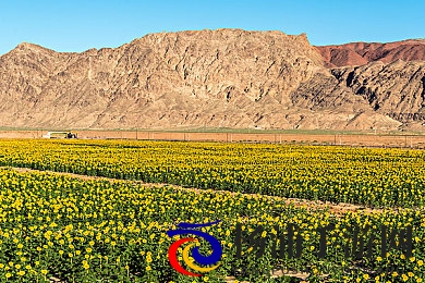 黑巨人大战侏儒女|暗黑巨影迎战迷你少女奇兵-1