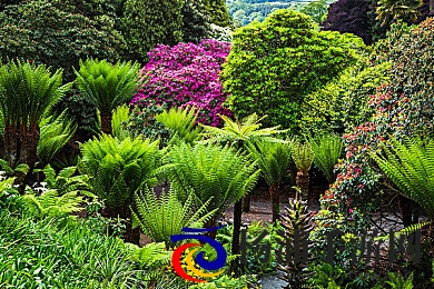 娇妻被三个黑人灌浆了|温柔妻子遭遇三人疯狂灌注-2