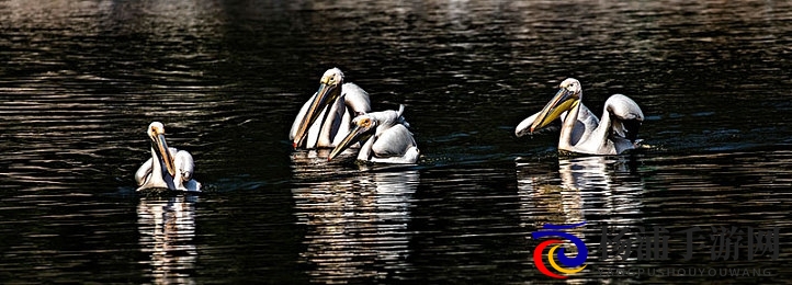 国模季玥玉玉门大开|模特季玥展现迷人风采-1