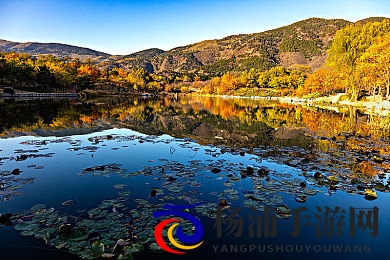 世界姓交大夺冠得主是谁|交大打破纪录彰显青春力量-1