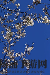 DD4男男安装包免费|免费下载DD4男男软件安装包-1