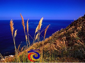 揉我胸 啊 嗯～喷水了妮妮|网络表达自由与界限的平衡之道-1