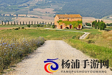 黄色不良软件下载|网络环境下的隐患与防护措施解析