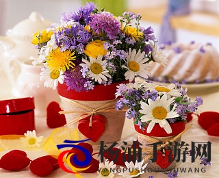 91丝袜|年轻时尚的丝袜推荐精选榜-2