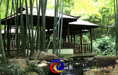 纯白的轮舞曲1-2樱花|艺术与生命交融的梦境体验-3