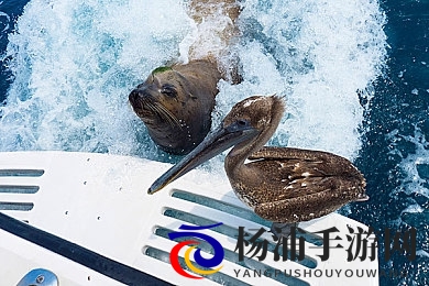 黄游下载3.0.3免费oppo版大全|掌上游戏新体验秘籍全解-2