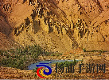 又疼又叫的软件|令人痛苦难以忍受的应用程序