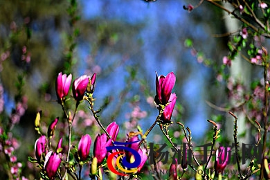 不如跳舞沙滩三个小男孩比翼鸟|童真海滩时光彰显无价友谊-1