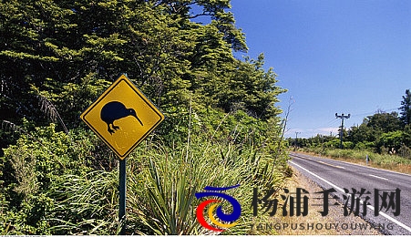 男生女生一起插插插的软件|引领互动娱乐新潮流的创新游戏-2