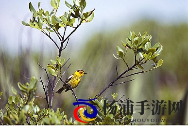 ass女厕小便pⅰcs|公共空间隐私危机引发社会 综合治理迫在眉睫-1