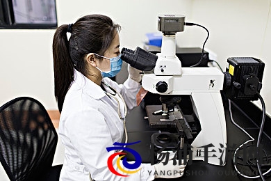 阿娇陈冠希囗交69|虚拟内容争议引发社会思考-1