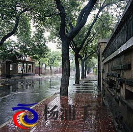 丁香久久|芳香持久香草体验百年云集-2