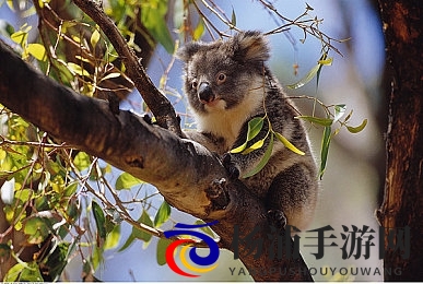 孝顺的儿媳周莹|引领家庭伦理的新体验