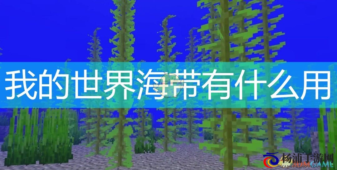 我的世界海带有什么作用