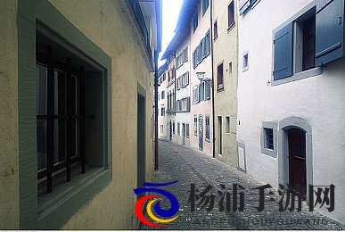 五月婷婷丁香花开|春日花海绽放城市新生