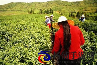 姐妹4人混战闹元宵|节日安全引发家庭与社会深思-1