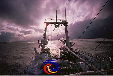 天天爱,天天操|数字娱乐引领健康新潮流-1