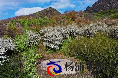 一级爱爱|虚拟情感互动引领游戏新潮流-2