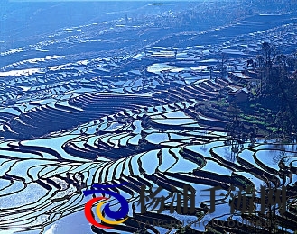 裸体软件下载|数字艺术新趋势保护隐私成为关键-2